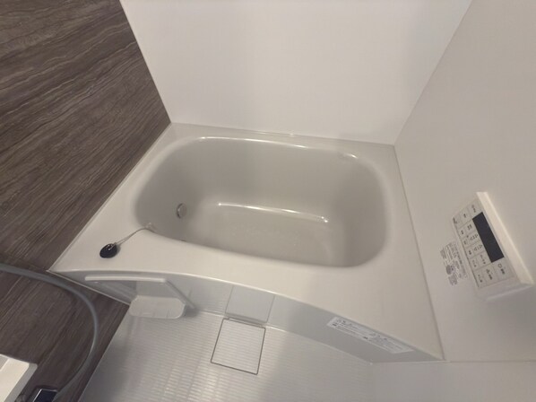 ペガサスⅡの物件内観写真